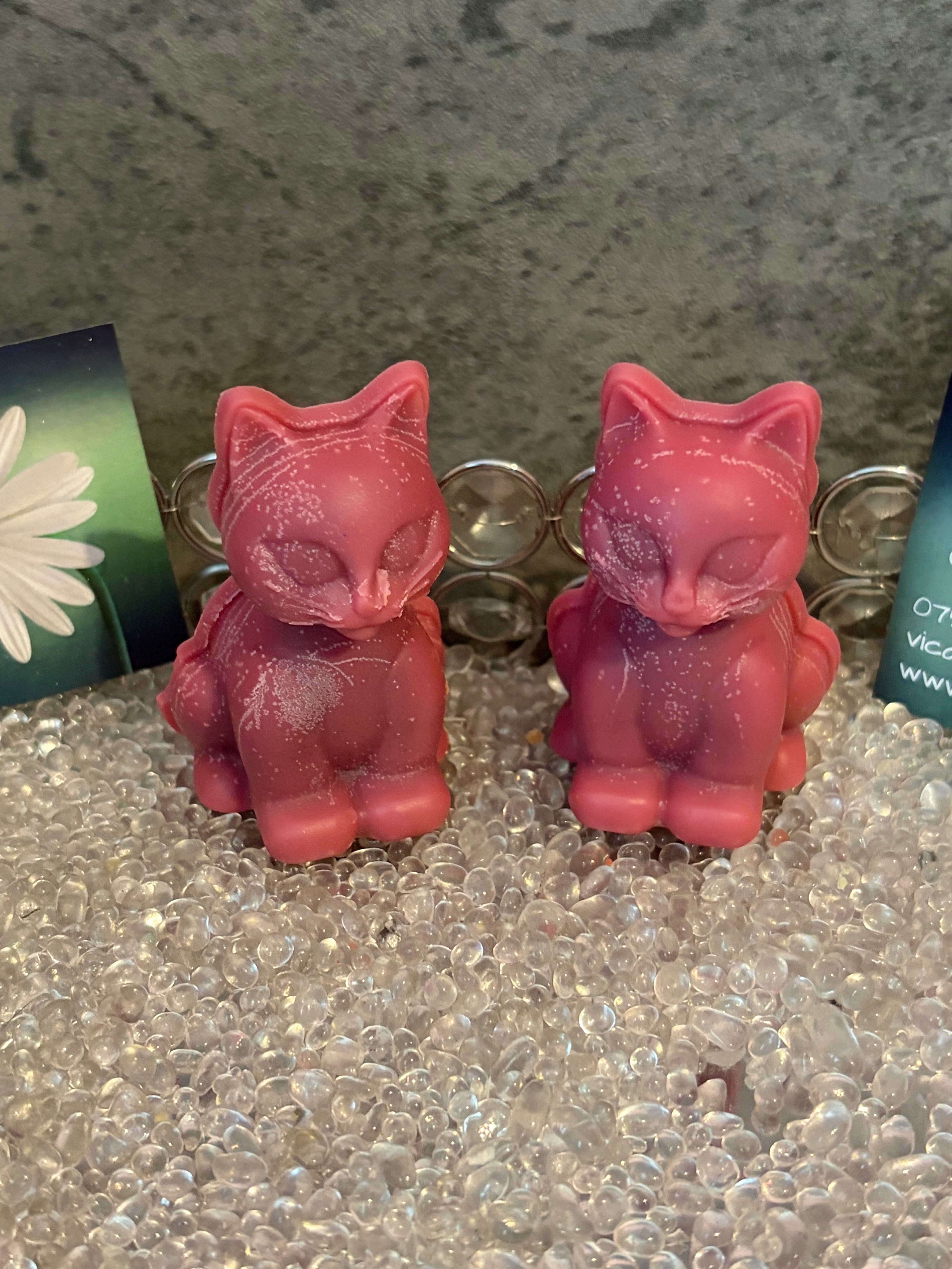 Box of 4 Cat Soy Wax Melts, Laundry Scents