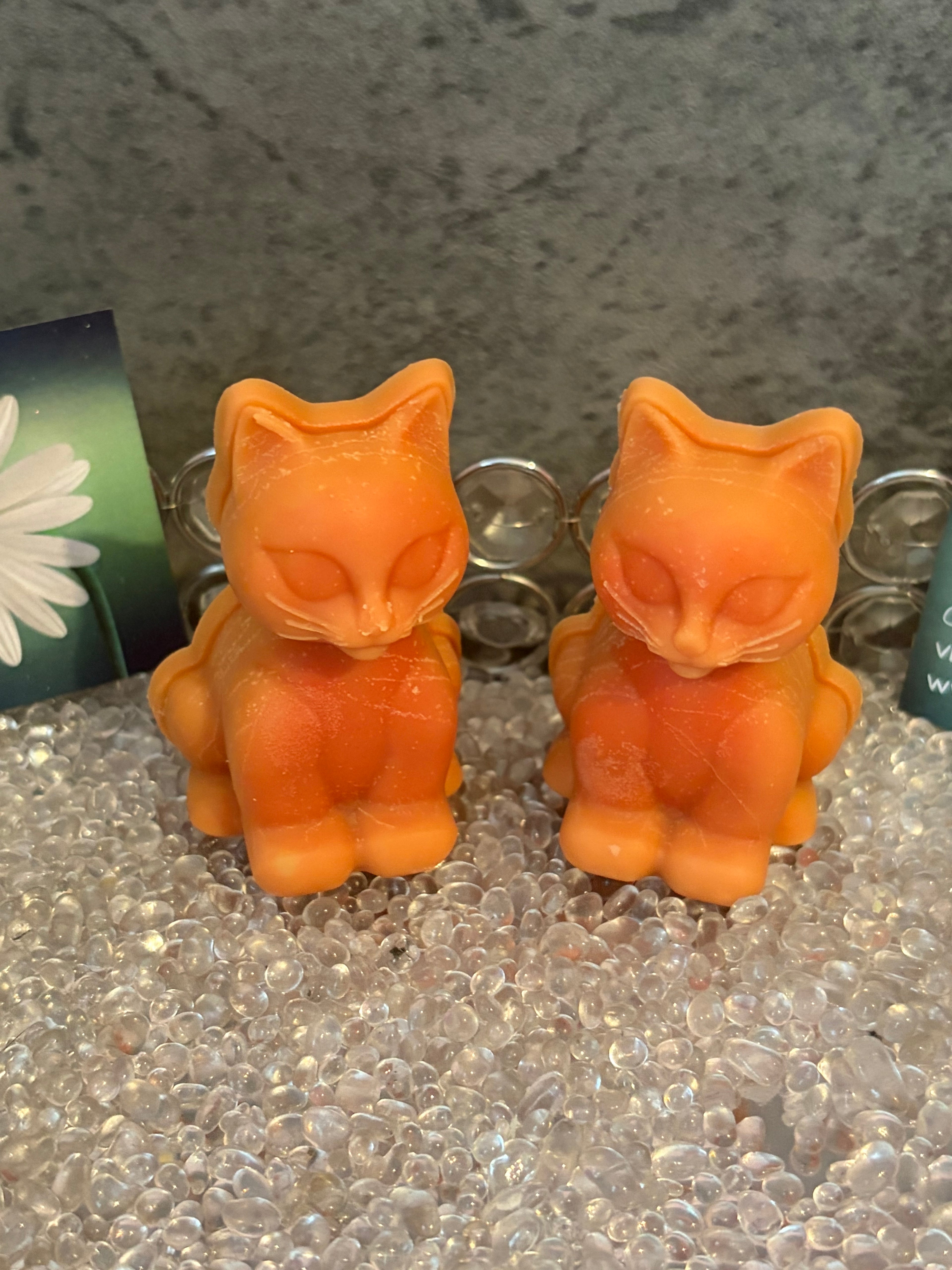 Box of 4 Cat Soy Wax Melts, Laundry Scents