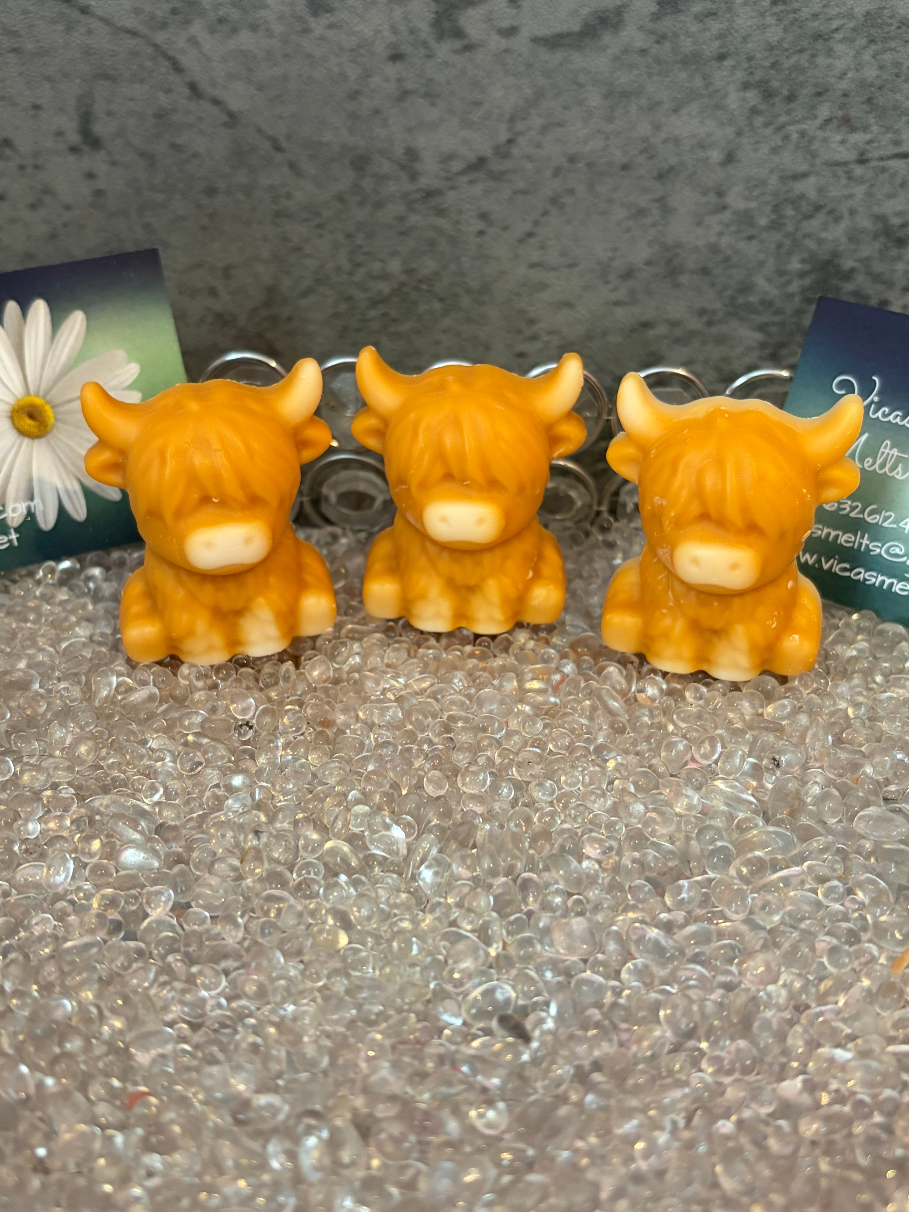 Highland Cow Soy Wax Melts, Laundry & Cleaning