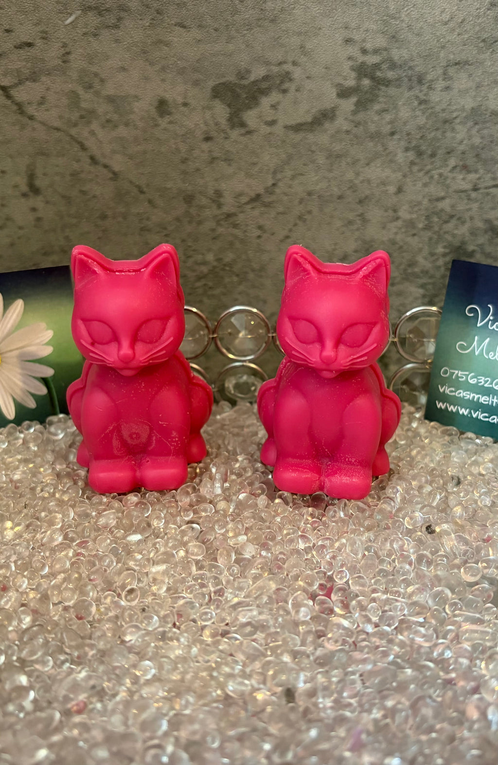 Cat Soy Wax Melts
