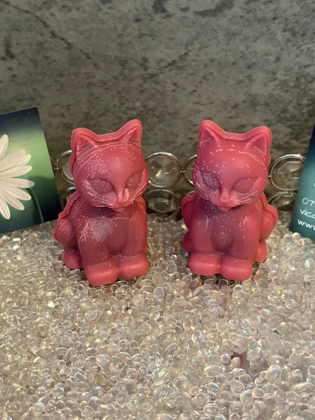 Cat Soy Wax Melts